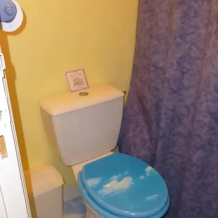 - Proche Du Centre - Salle D'eau Et Wc Prives ボルドー