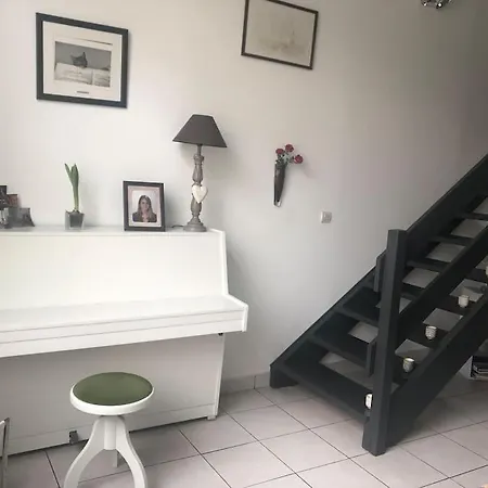 Homestay - Proche Du Centre - Salle D'eau Et Wc Prives *